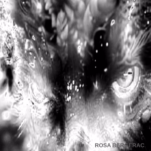 NO HIDING . PAINTING BY ROSA BERGERAC